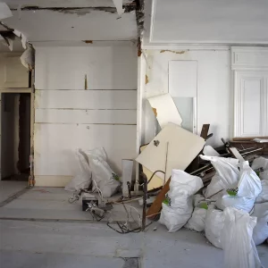 Rénovation d’appartement résidentiel à Lyon 6 – Projet Molière