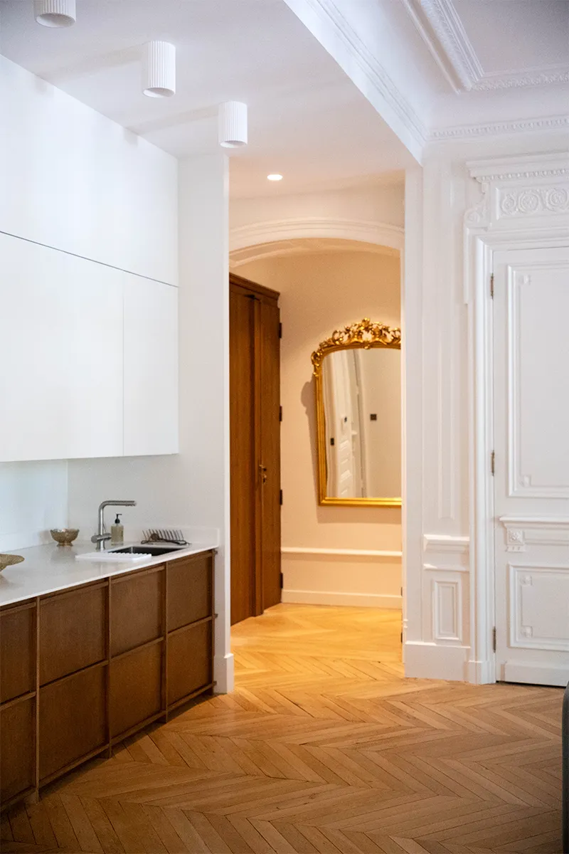 projet-augagneur-renovationappartement-ancien-lyon2