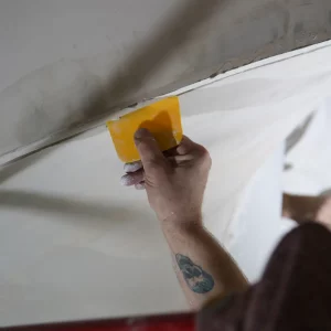 Projet Point du Jour rénovation maison haut de gamme Lyon 5