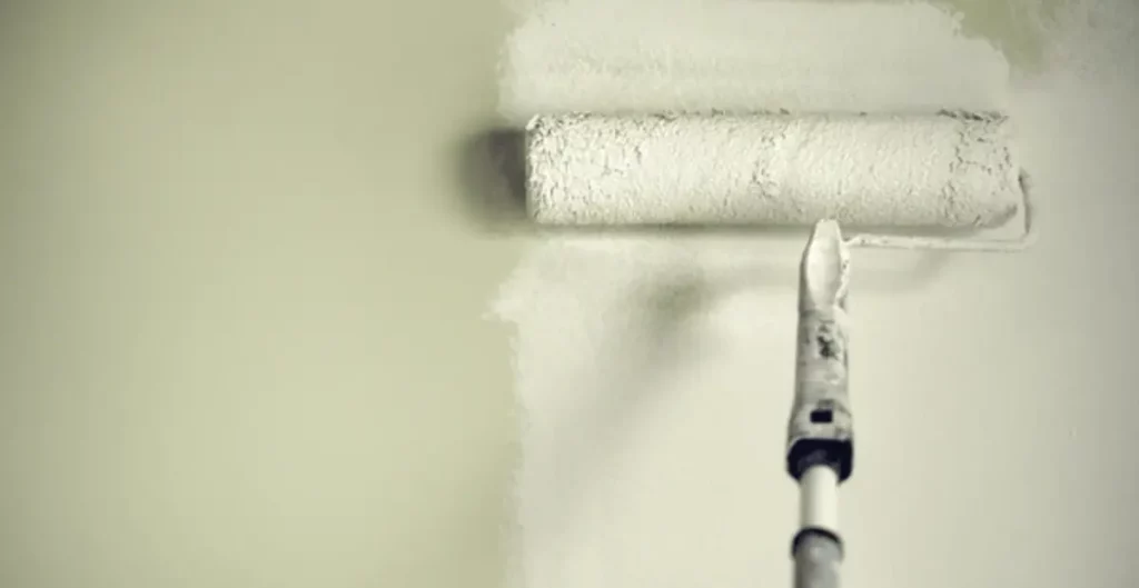 plâtrerie peinture Lyon